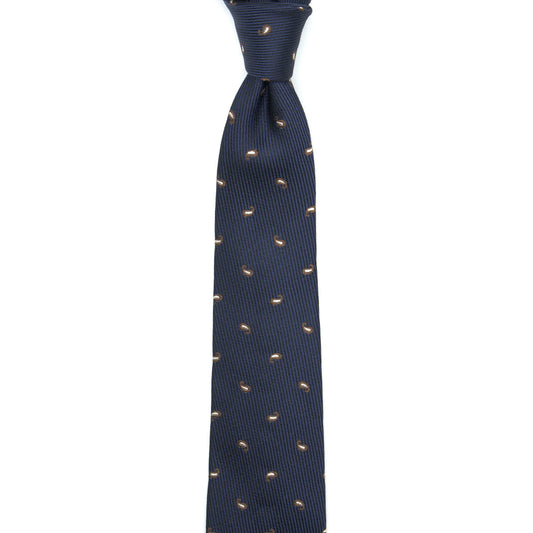 NEW//TEORIA PAISLEY8 NECKTIE