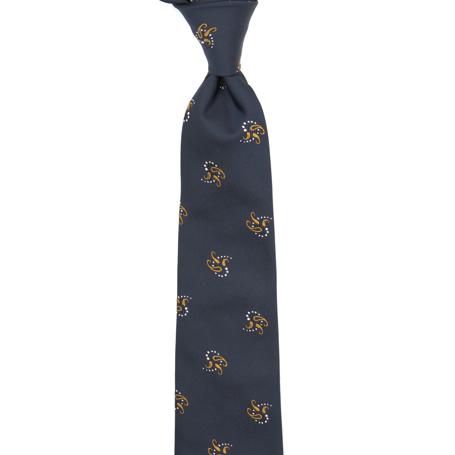 NEW//TEORIA PAISLEY10 NECKTIE