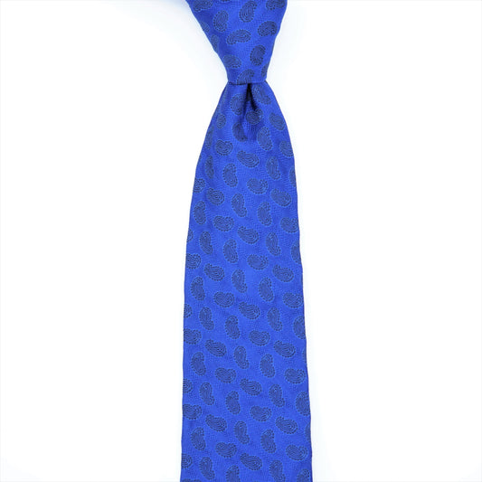 TEORIA PAISLEY5 NECKTIE